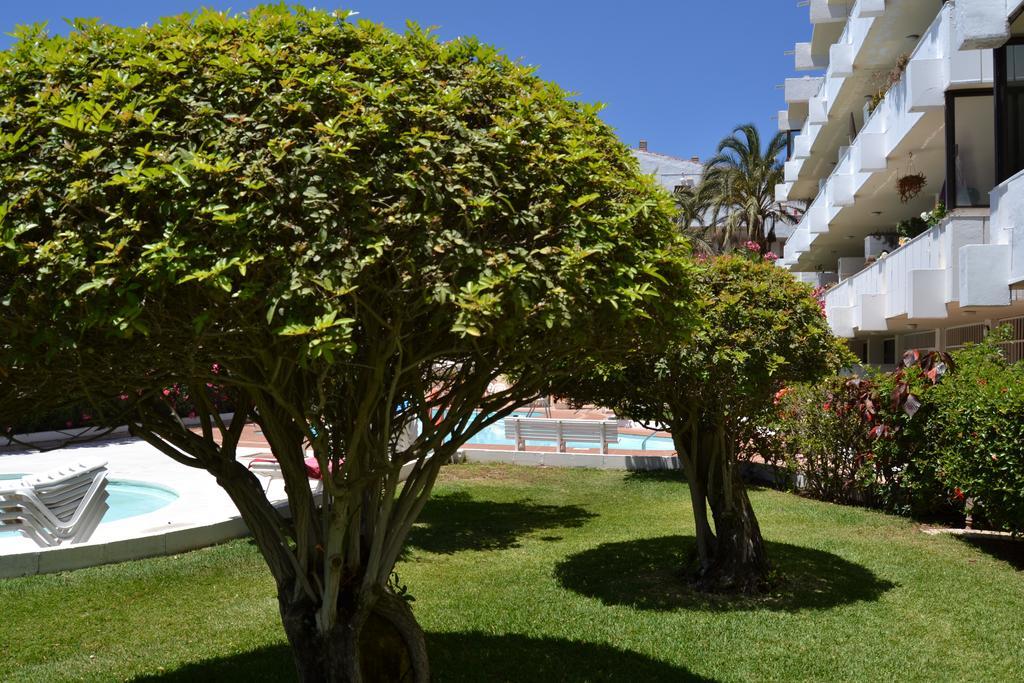 Apartamentos Don Quijote 플라야 델 잉글스 외부 사진
